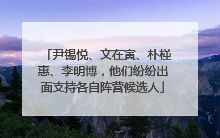 尹锡悦、文在寅、朴槿惠、李明博，他们纷纷出面支持各自阵营候选人