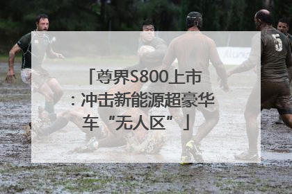 尊界S800上市：冲击新能源超豪华车“无人区”