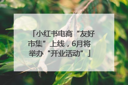 小红书电商“友好市集”上线，6月将举办“开业活动”
