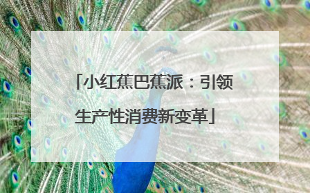 小红蕉巴蕉派：引领生产性消费新变革