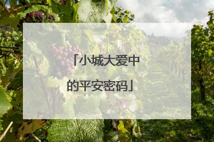 小城大爱中的平安密码