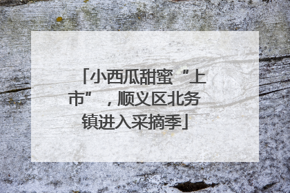 小西瓜甜蜜“上市”，顺义区北务镇进入采摘季