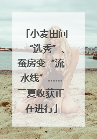 小麦田间“选秀”、蚕房变“流水线”……三夏收获正在进行