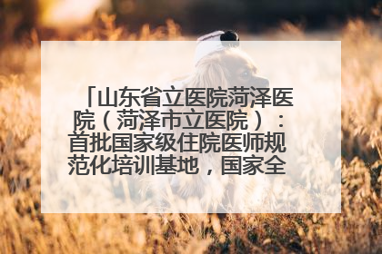山东省立医院菏泽医院（菏泽市立医院）：首批国家级住院医师规范化培训基地，国家全科医生转岗培训基地