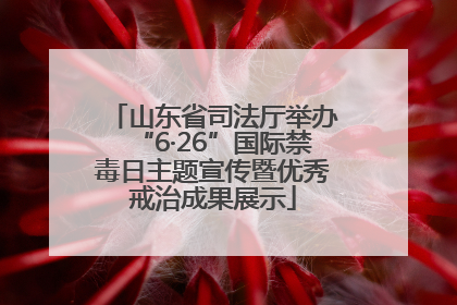 山东省司法厅举办“6·26”国际禁毒日主题宣传暨优秀戒治成果展示