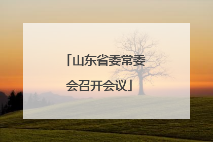 山东省委常委会召开会议
