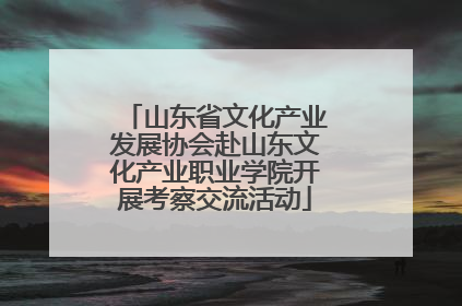 山东省文化产业发展协会赴山东文化产业职业学院开展考察交流活动