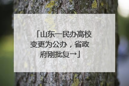 山东一民办高校变更为公办，省政府刚批复→