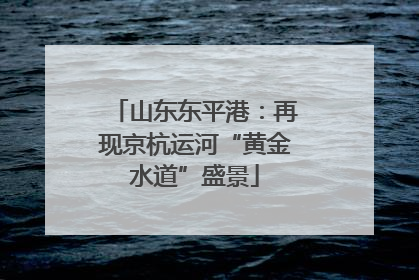 山东东平港：再现京杭运河“黄金水道”盛景