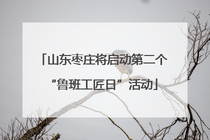 山东枣庄将启动第二个“鲁班工匠日”活动