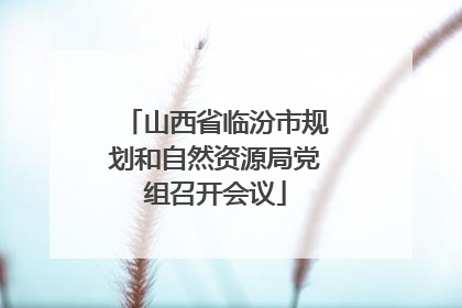 山西省临汾市规划和自然资源局党组召开会议