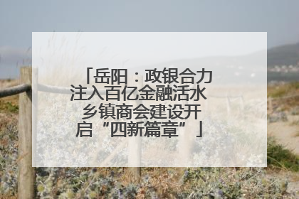 岳阳：政银合力注入百亿金融活水 乡镇商会建设开启“四新篇章”
