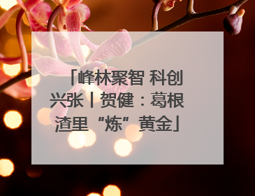峰林聚智 科创兴张丨贺健：葛根渣里“炼”黄金