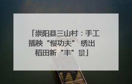 崇阳县三山村：手工插秧“慢功夫” 绣出稻田新“丰”景