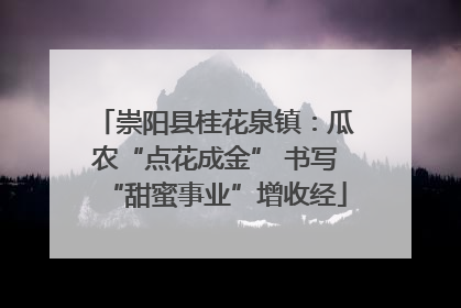 崇阳县桂花泉镇：瓜农“点花成金” 书写“甜蜜事业”增收经