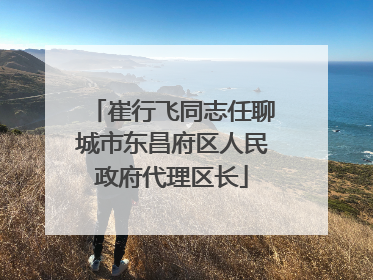 崔行飞同志任聊城市东昌府区人民政府代理区长