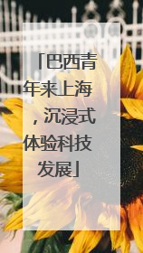 巴西青年来上海，沉浸式体验科技发展