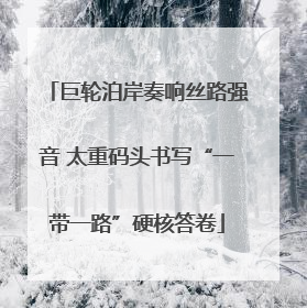 巨轮泊岸奏响丝路强音 太重码头书写“一带一路”硬核答卷