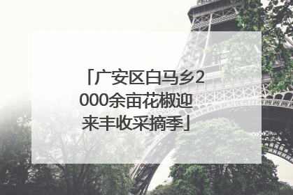 广安区白马乡2000余亩花椒迎来丰收采摘季