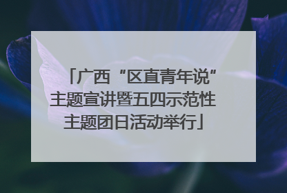 广西“区直青年说”主题宣讲暨五四示范性主题团日活动举行