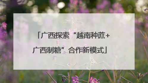 广西探索“越南种蔗+广西制糖”合作新模式