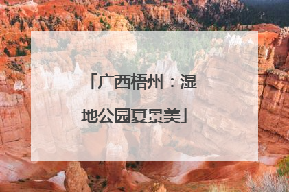 广西梧州：湿地公园夏景美