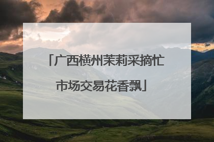 广西横州茉莉采摘忙 市场交易花香飘