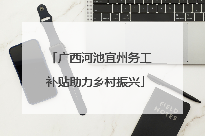 广西河池宜州务工补贴助力乡村振兴