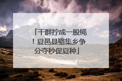 干群拧成一股绳！夏邑县骆集乡争分夺秒促夏种