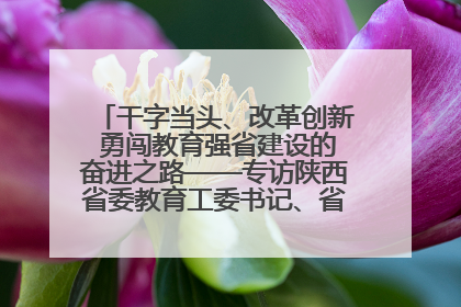 干字当头、改革创新 勇闯教育强省建设的奋进之路——专访陕西省委教育工委书记、省教育厅厅长王树声