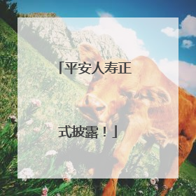 平安人寿正式披露！