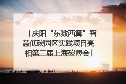 庆阳“东数西算”智慧低碳园区实践项目亮相第三届上海碳博会