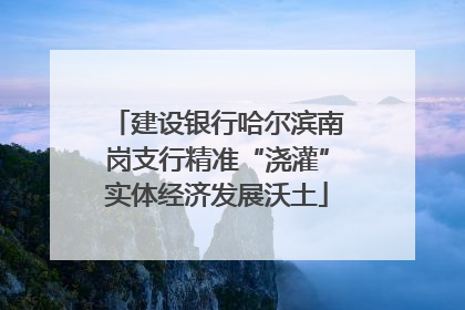 建设银行哈尔滨南岗支行精准“浇灌”实体经济发展沃土