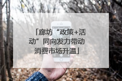 廊坊“政策+活动”同向发力带动消费市场升温