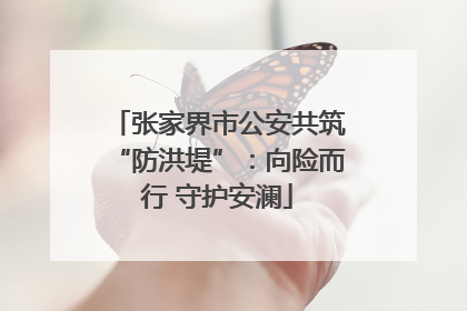 张家界市公安共筑“防洪堤”：向险而行 守护安澜