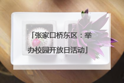 张家口桥东区：举办校园开放日活动