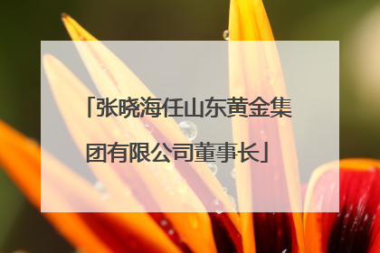 张晓海任山东黄金集团有限公司董事长
