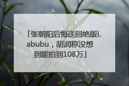 张朝阳后悔送回绝版Labubu，胡润称没想到能拍到108万