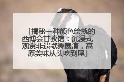 揭秘三种颜色绘就的西博会甘孜馆：沉浸式观赏非遗歌舞展演，高原美味从头吃到尾