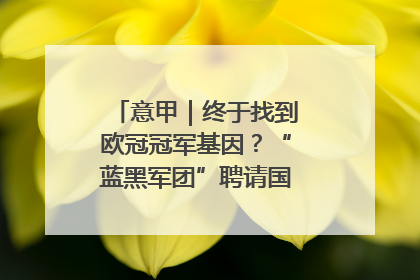意甲｜终于找到欧冠冠军基因？“蓝黑军团”聘请国米名宿齐沃执教