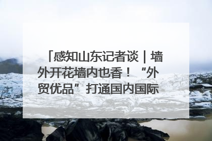 感知山东记者谈｜墙外开花墙内也香！“外贸优品”打通国内国际市场“旋转门”