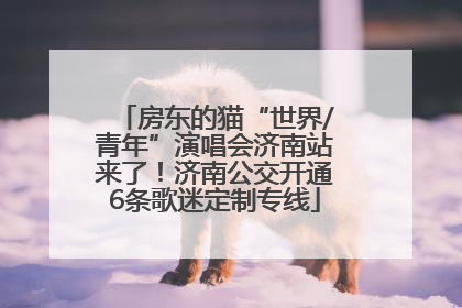 房东的猫“世界/青年”演唱会济南站来了！济南公交开通6条歌迷定制专线