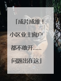 成片成堆！小区业主窗户都不敢开……问题出在这