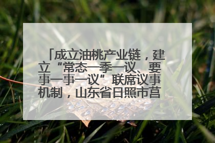 成立油桃产业链，建立“常态一季一议、要事一事一议”联席议事机制，山东省日照市莒县果庄镇——13个党小组“全周期”育果