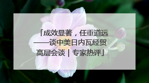 成效显著，任重道远——谈中美日内瓦经贸高层会谈｜专家热评