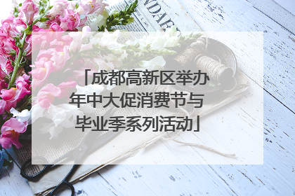 成都高新区举办年中大促消费节与毕业季系列活动