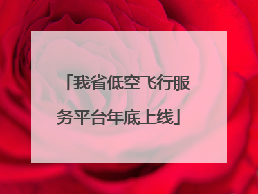 我省低空飞行服务平台年底上线