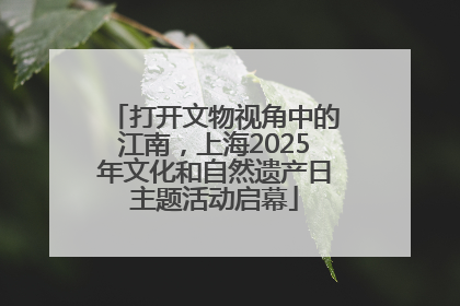 打开文物视角中的江南，上海2025年文化和自然遗产日主题活动启幕