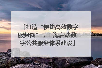 打造“便捷高效数字服务圈”，上海启动数字公共服务体系建设