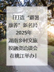 打造“避暑康养”新名片 2025年湖南乡村文旅投融资洽谈会在桃江举办